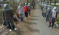 Приколисты из Токио потроллили Google Street View в масках голубей Приколисты из Токио потроллили Google Street View в масках голубей