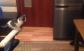 Никогда не сдавайся Никогда не сдавайся