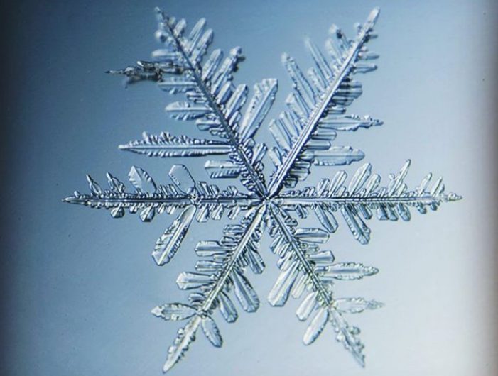 Завораживающие фотографии снежинок Завораживающие фотографии снежинок