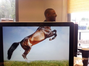 Desk safari: новая офисная мода