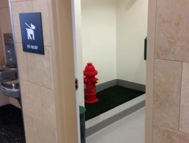 Общественные туалеты для собак в аэропорту Сан-Диего