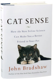 Cat sense