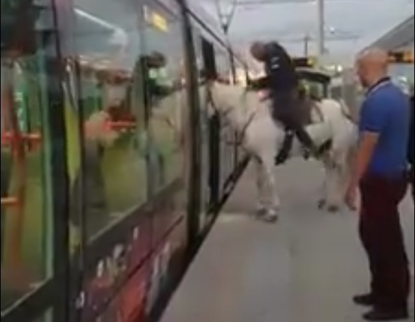 На лошади в трамвае…